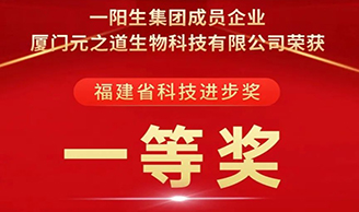 喜讯 | 新利体育集团荣获“科技前进一等奖”